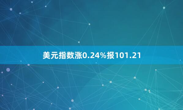 美元指数涨0.24%报101.21