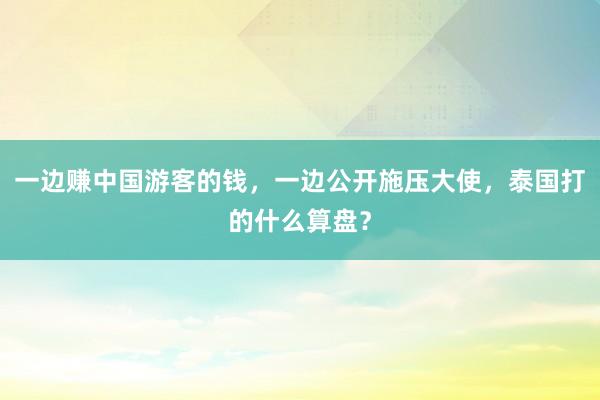 一边赚中国游客的钱，一边公开施压大使，泰国打的什么算盘？