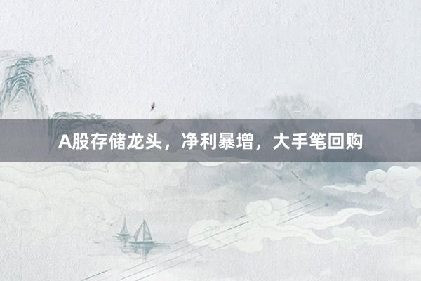 A股存储龙头，净利暴增，大手笔回购