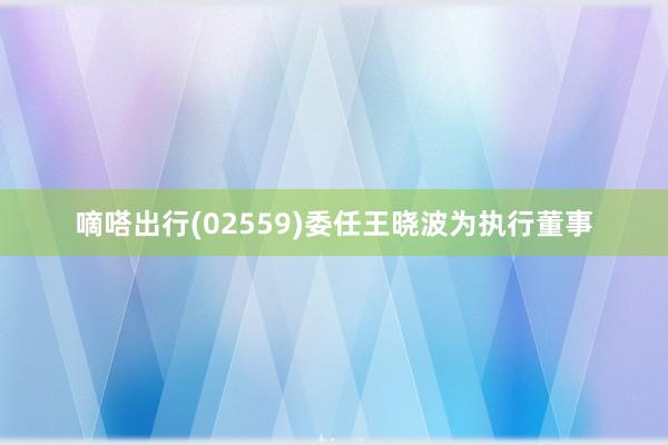 嘀嗒出行(02559)委任王晓波为执行董事