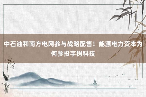 中石油和南方电网参与战略配售！能源电力资本为何参投宇树科技