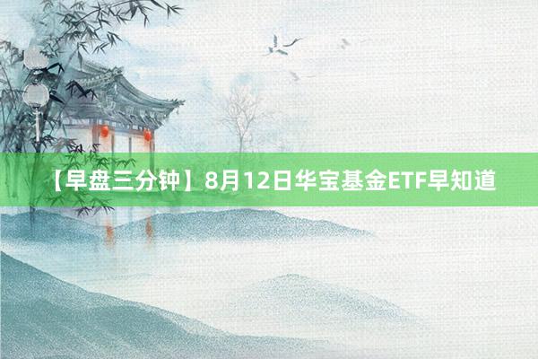 【早盘三分钟】8月12日华宝基金ETF早知道
