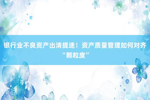 银行业不良资产出清提速!资产质量管理如何对齐“颗粒度”