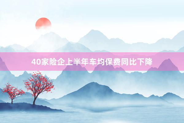 40家险企上半年车均保费同比下降