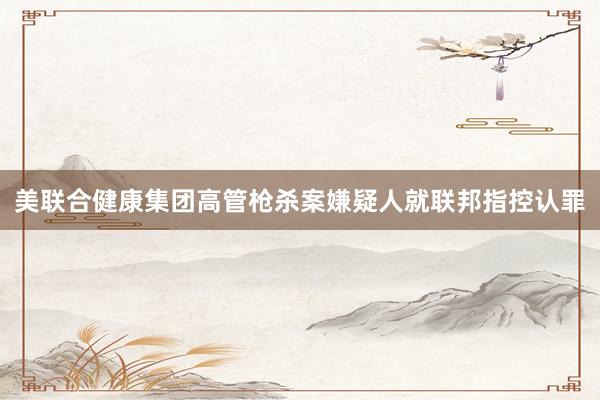 美联合健康集团高管枪杀案嫌疑人就联邦指控认罪