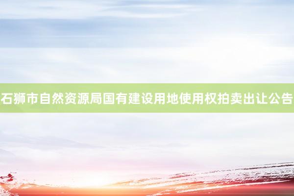 石狮市自然资源局国有建设用地使用权拍卖出让公告