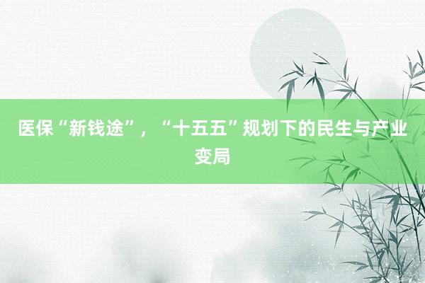 医保“新钱途”，“十五五”规划下的民生与产业变局