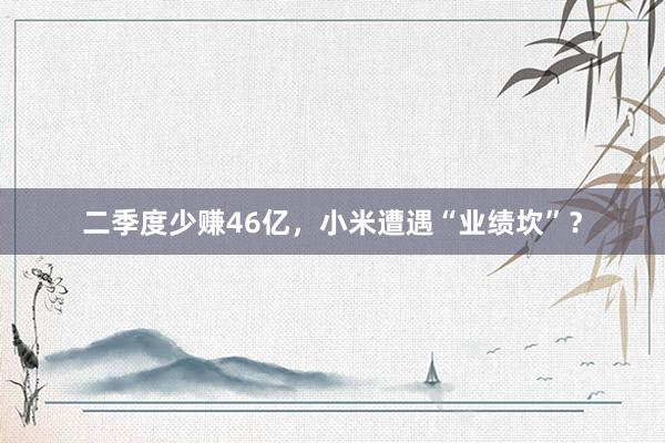 二季度少赚46亿，小米遭遇“业绩坎”？