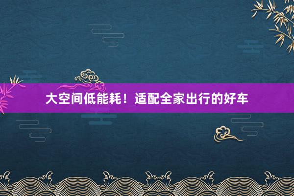 大空间低能耗！适配全家出行的好车