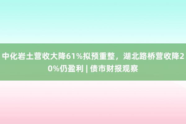 中化岩土营收大降61%拟预重整，湖北路桥营收降20%仍盈利 | 债市财报观察