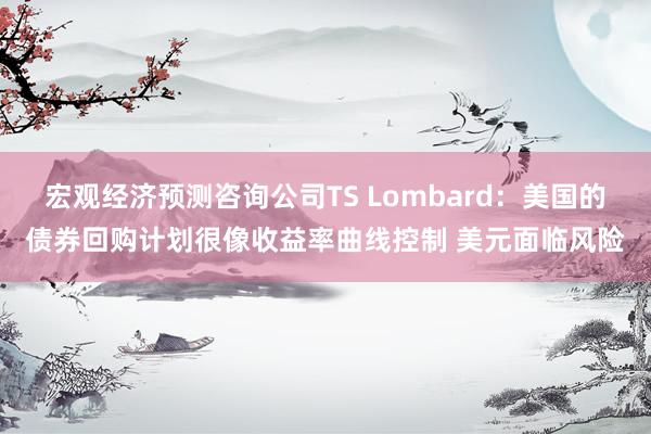 宏观经济预测咨询公司TS Lombard：美国的债券回购计划很像收益率曲线控制 美元面临风险