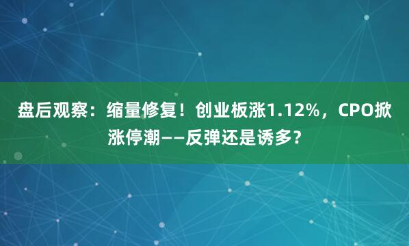 盘后观察：缩量修复！创业板涨1.12%，CPO掀涨停潮——反弹还是诱多？
