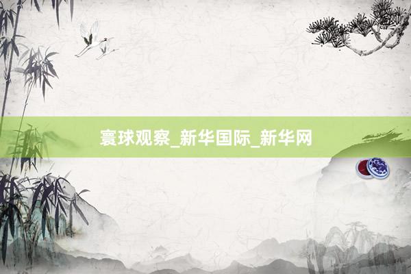 寰球观察_新华国际_新华网