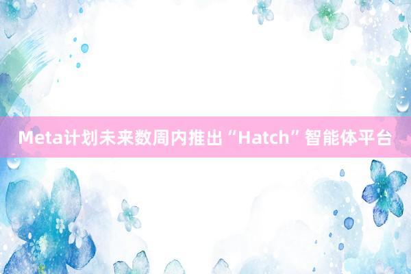 Meta计划未来数周内推出“Hatch”智能体平台