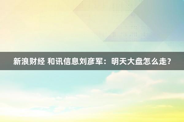 新浪财经 和讯信息刘彦军：明天大盘怎么走？