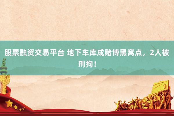股票融资交易平台 地下车库成赌博黑窝点,2人被刑拘!