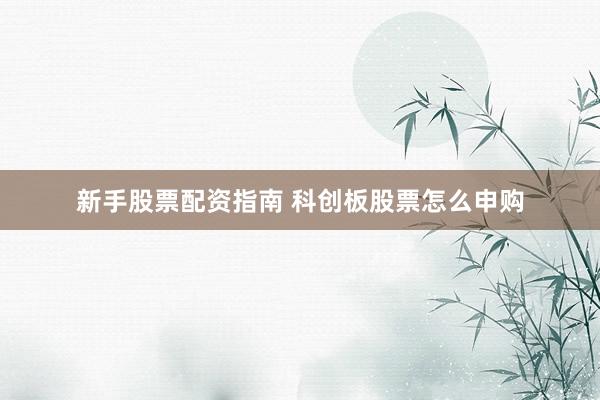 新手股票配资指南 科创板股票怎么申购