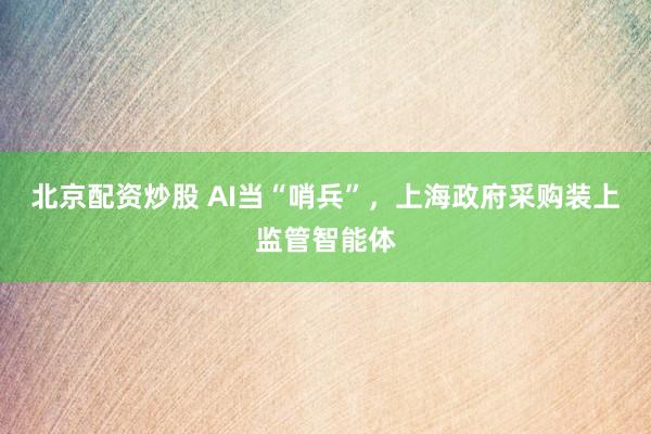 北京配资炒股 AI当“哨兵”，上海政府采购装上监管智能体