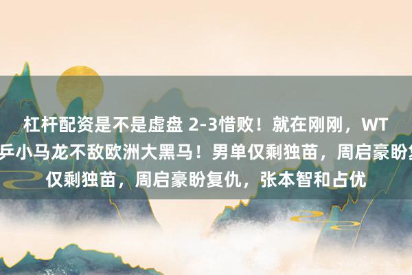 杠杆配资是不是虚盘 2-3惜败！就在刚刚，WTT澳门赛爆大冷：国乒小马龙不敌欧洲大黑马！男单仅剩独苗，周启豪盼复仇，张本智和占优