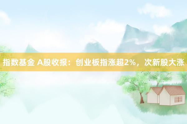 指数基金 A股收报：创业板指涨超2%，次新股大涨