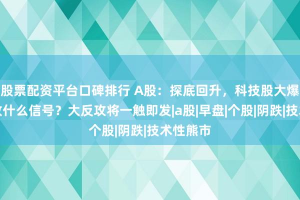 股票配资平台口碑排行 A股：探底回升，科技股大爆发，释放什么信号？大反攻将一触即发|a股|早盘|个股|阴跌|技术性熊市