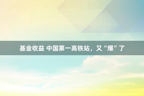 基金收益 中国第一高铁站，又“爆”了