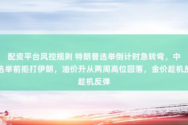 配资平台风控规则 特朗普选举倒计时急转弯，中期选举前拒打伊朗，油价升从两周高位回落，金价趁机反弹