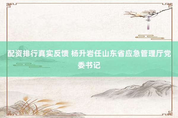 配资排行真实反馈 杨升岩任山东省应急管理厅党委书记